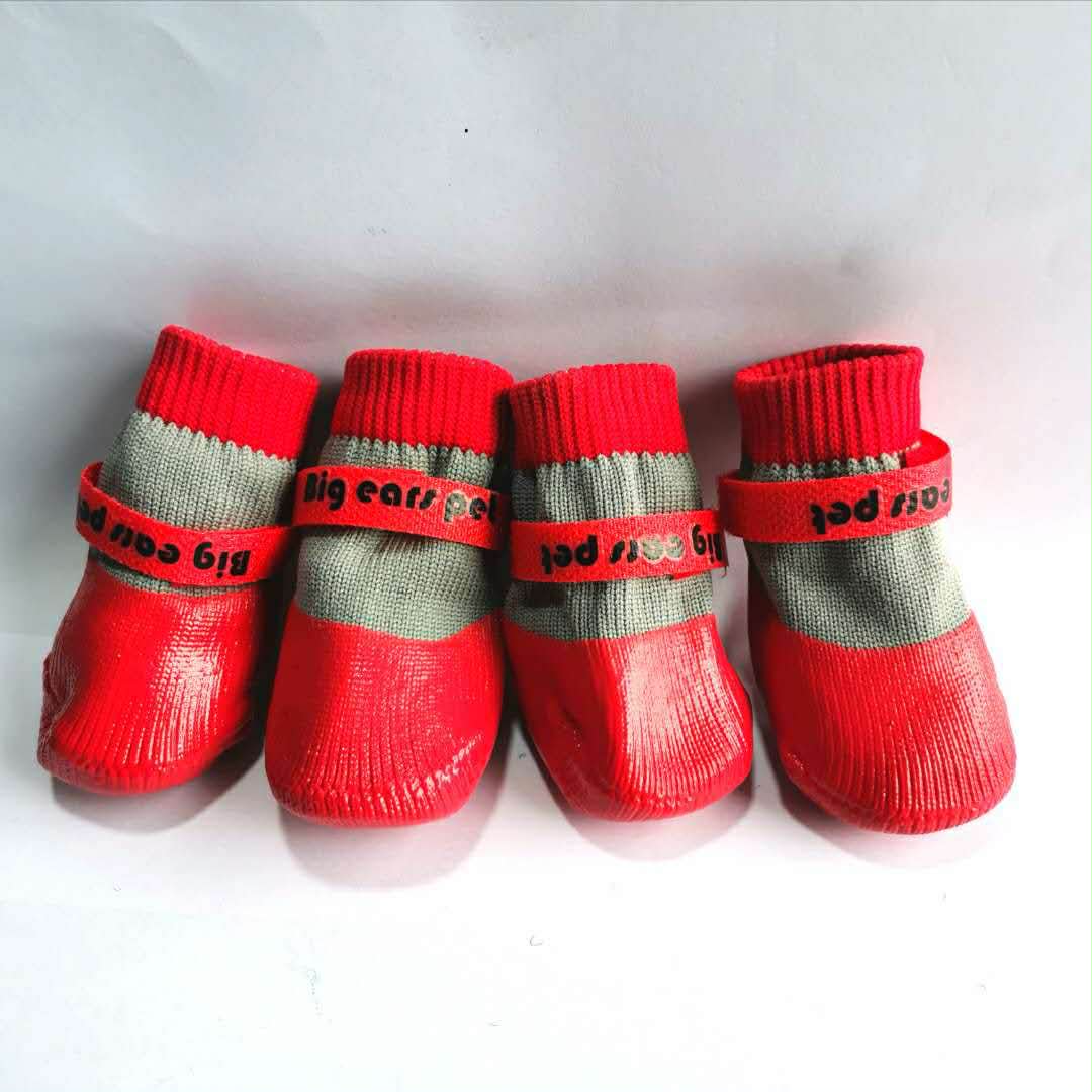 Pomeranian Waterproof Shoes