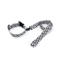 Collar and Leash