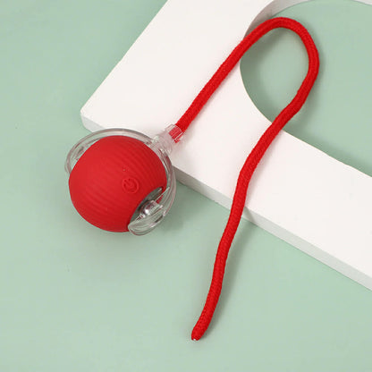 Pomeranian Rolling Ball Toy