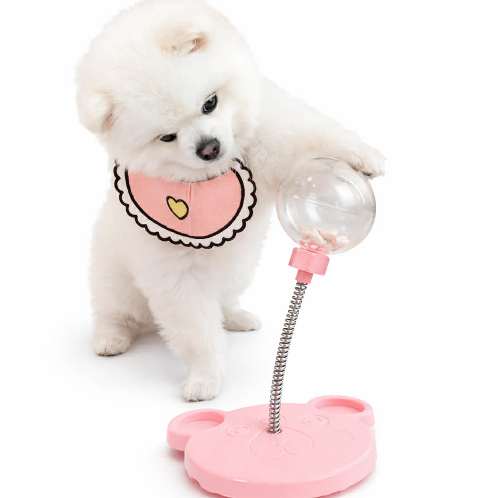Pomeranian Feeding Stick