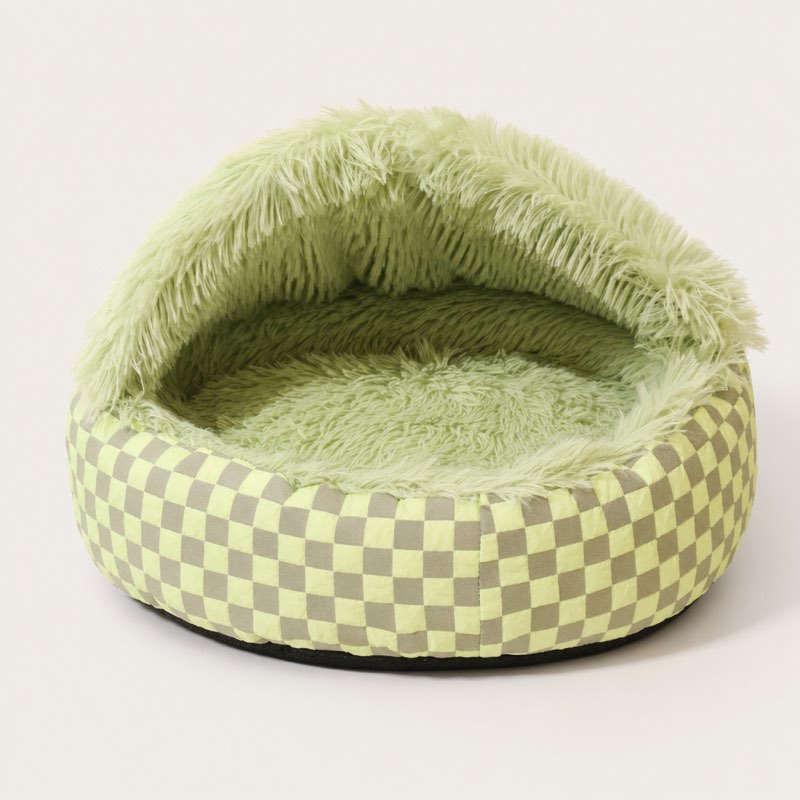 Pomeranian's Cozy Nest
