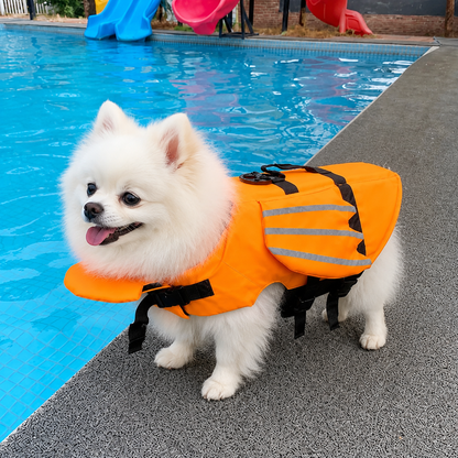 DragonWing™ Dog Life Vest