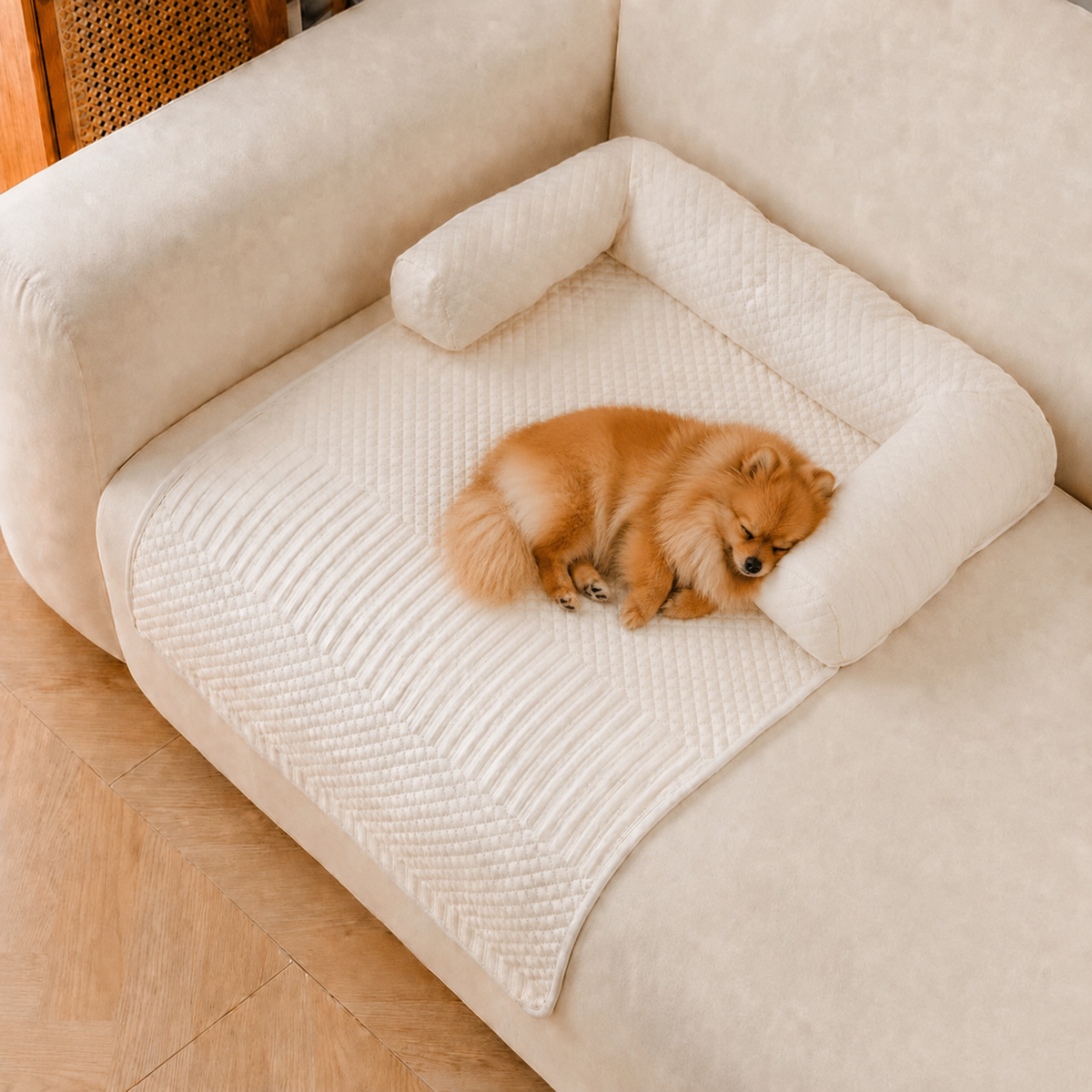 Pomeranian Orthopedic Bed