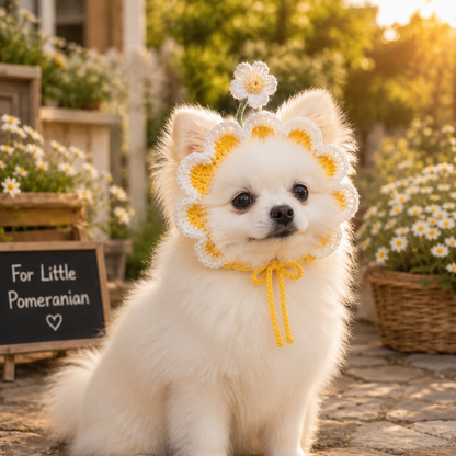 DaisyBloom™ Pomeranian Bonnet