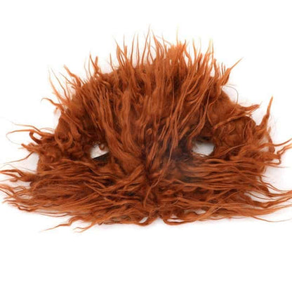 Halloween Killer Pomeranian Costume