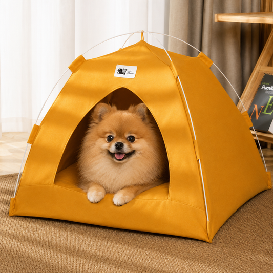 Pomeranian Tent House