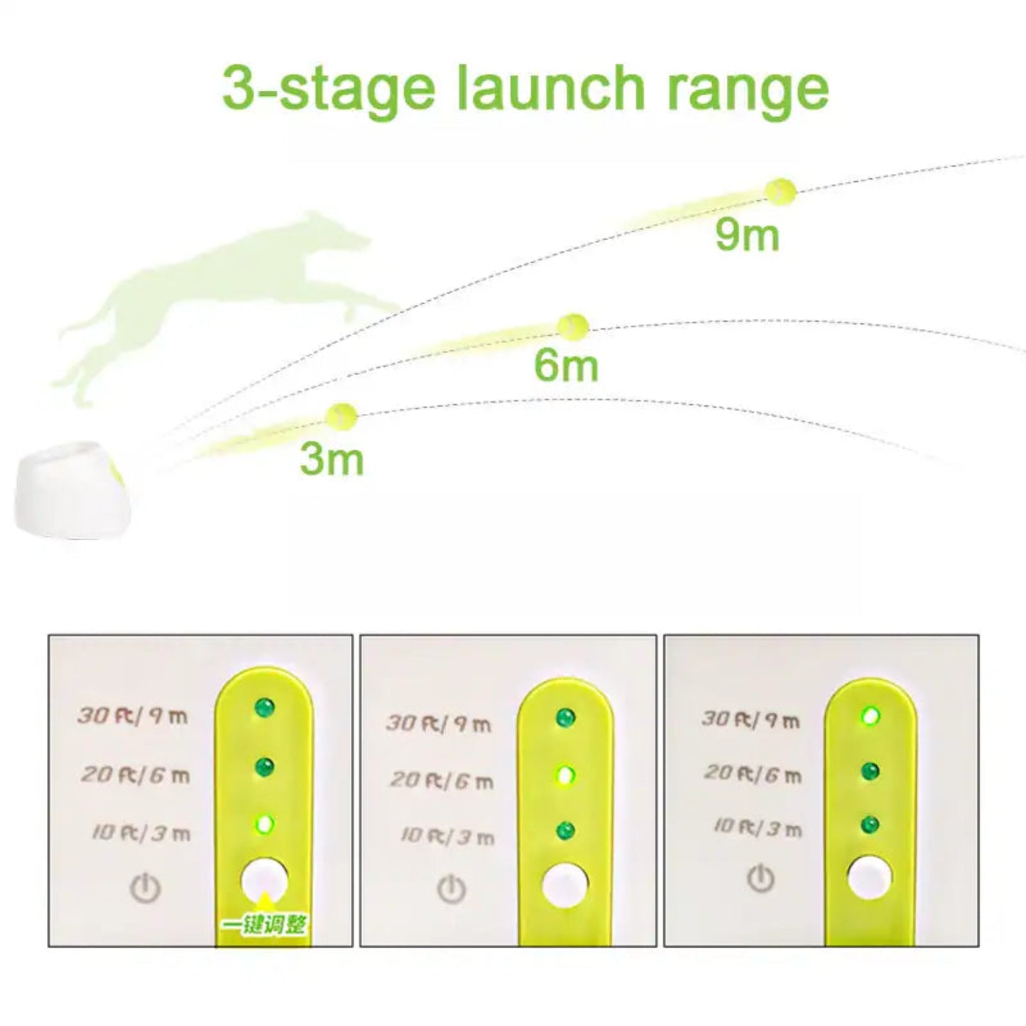 Automatic Ball Launcher for Pomeranians