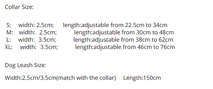 Luxury CC Collar and Leash Set