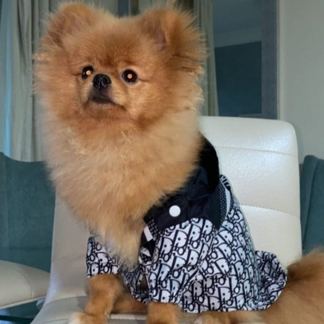 CD Dog Windbreaker