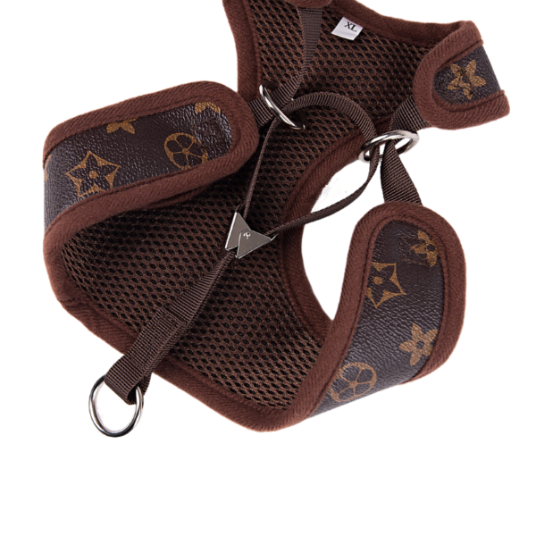 Chewy Designer Harness And Leash Set