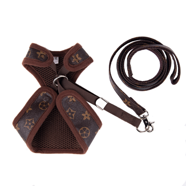 Chewy Designer Harness And Leash Set