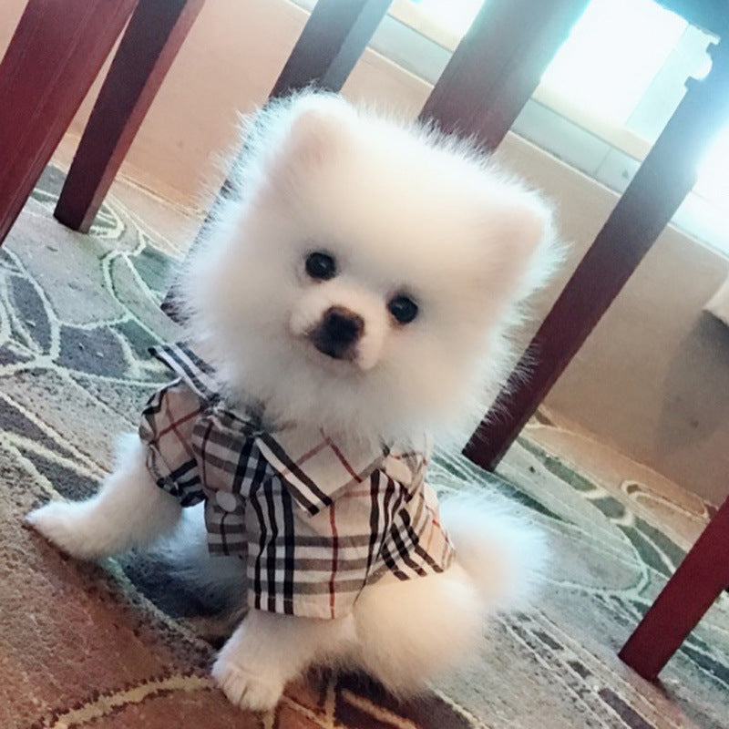 Classic Plaid Shirt