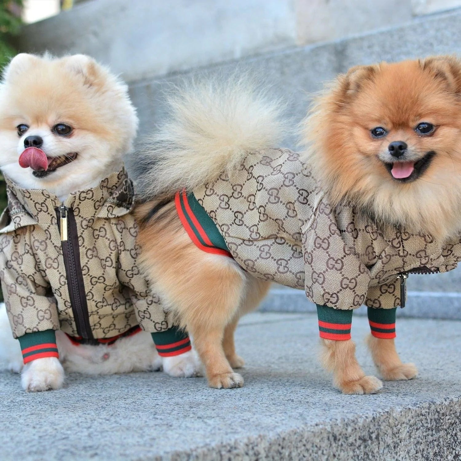 LV Faux Fur Dog Jacket – PomPlanet