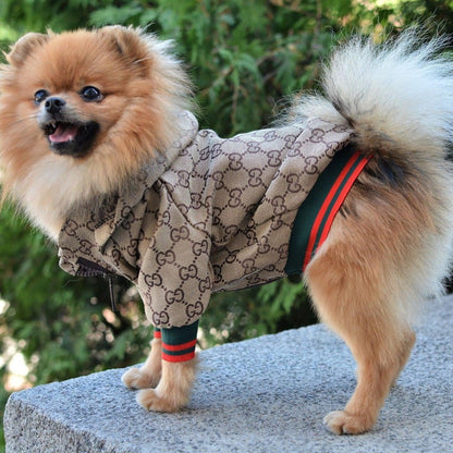 Luxury Pawci Hooded Jacket