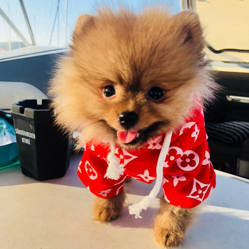 Store Pomeranian Spitz - Hoodie