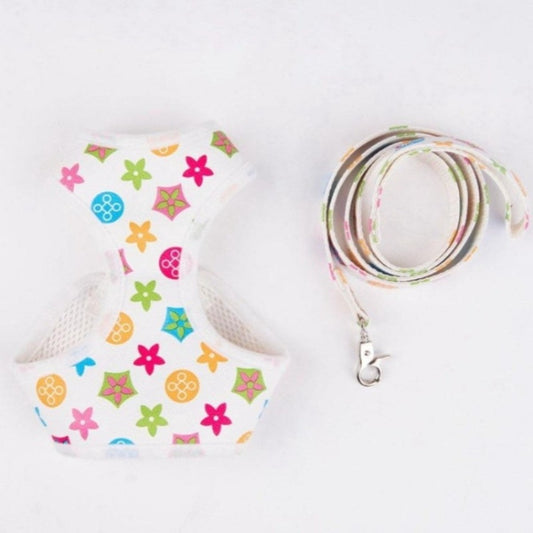 Louie White Harness and Leash Set